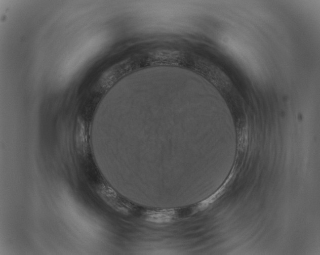 X0000087320191200705181020