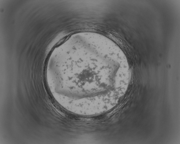 X0000087320195200705181019