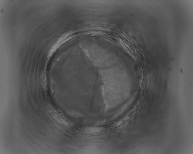 X0000087320198200705181019