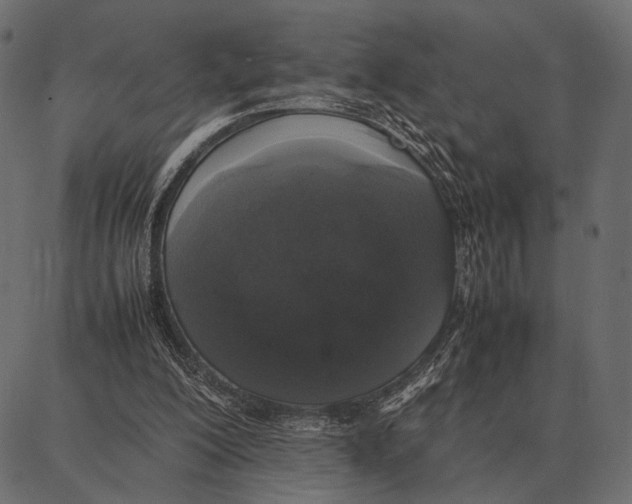 X0000087320200200705181019