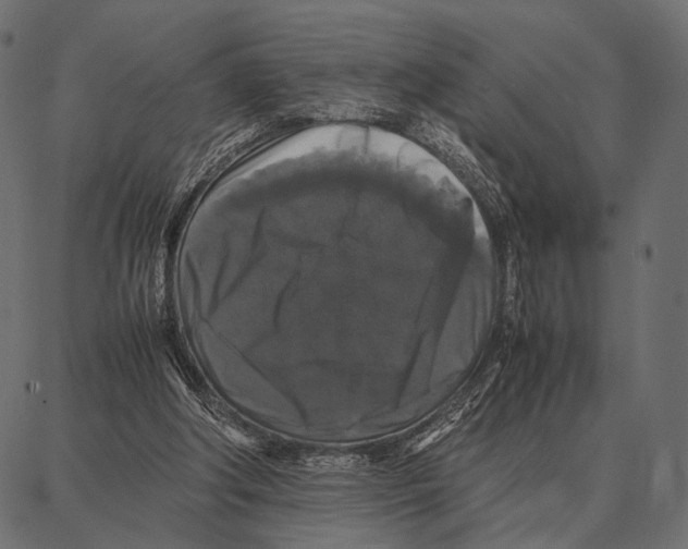 X0000087320202200705181019