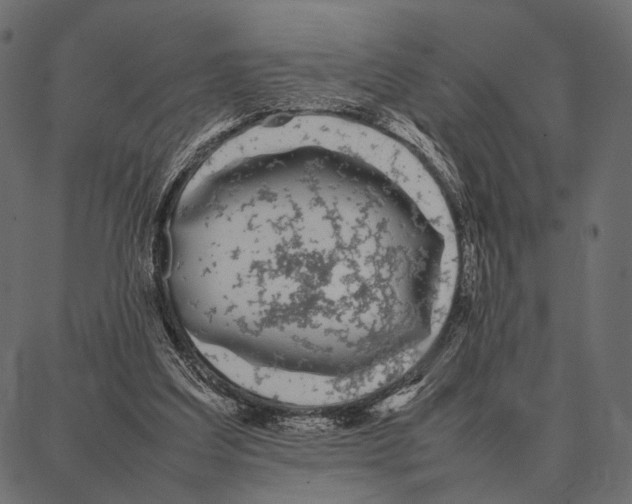 X0000087320203200705181019