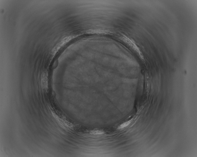 X0000087320204200705181019