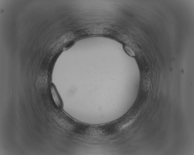 X0000087320207200705181019