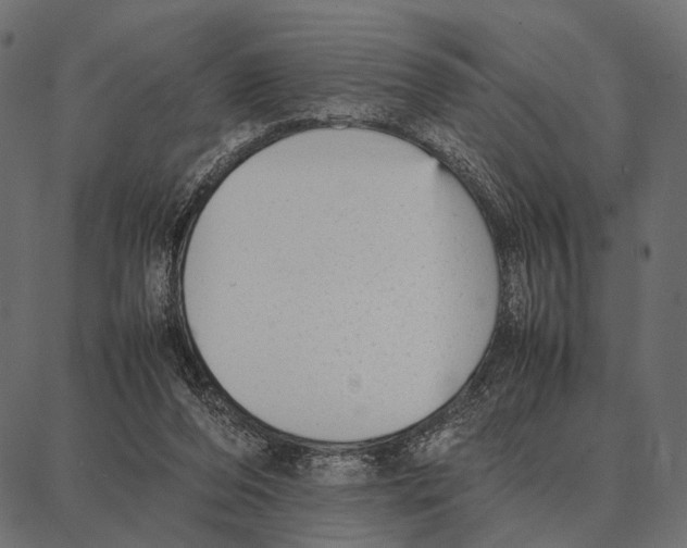 X0000087320208200705181019