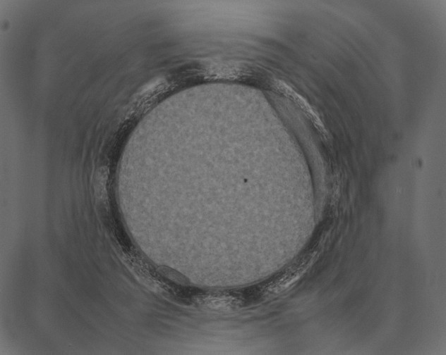 X0000087320209200705181019