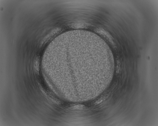 X0000087320210200705181019