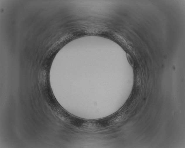 X0000087320211200705181019