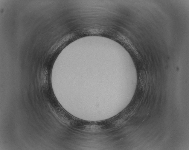 X0000087320212200705181019