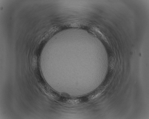 X0000087320213200705181019