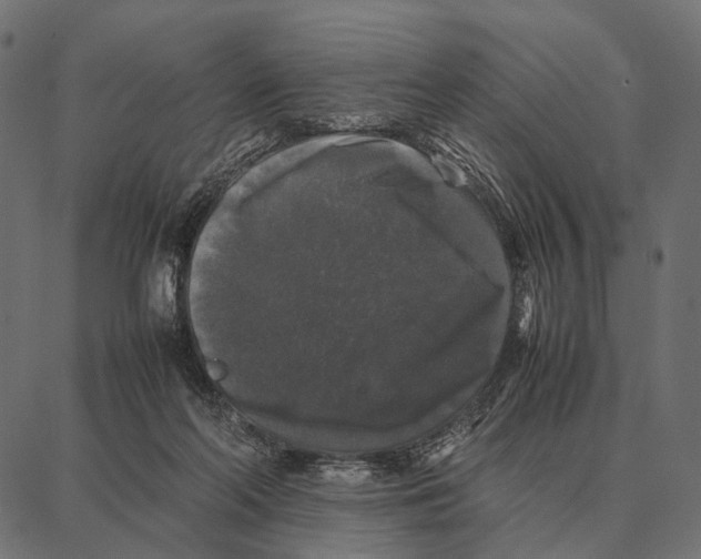 X0000087320214200705181019