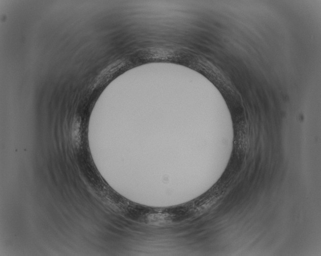 X0000087320216200705181019