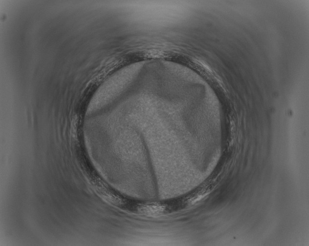 X0000087320217200705181019