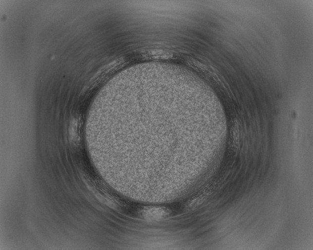 X0000087320218200705181019