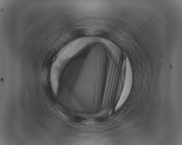 X0000087320219200705181019