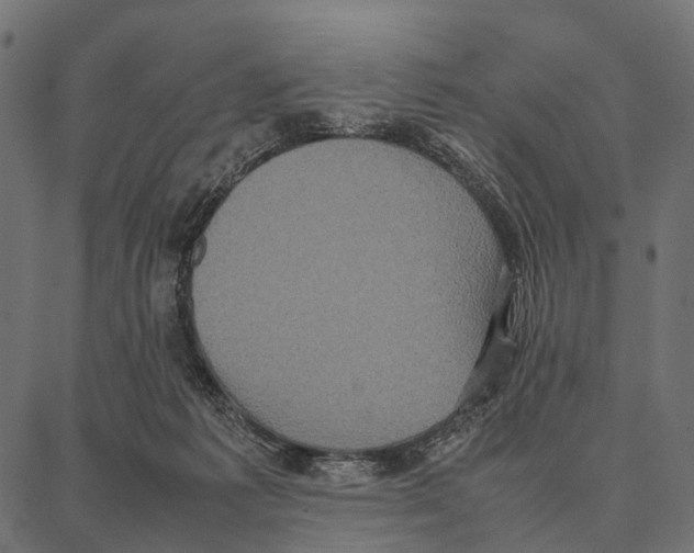 X0000087320221200705181019