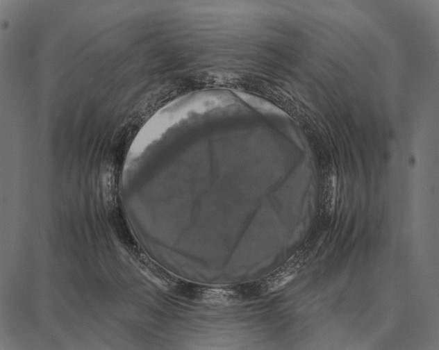 X0000087320222200705181019