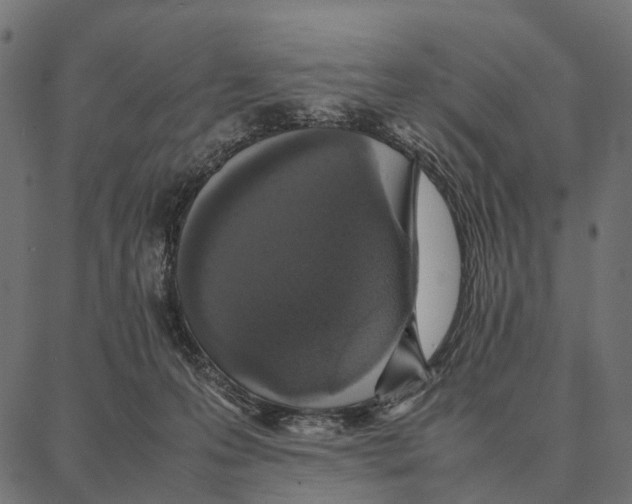 X0000087320223200705181019