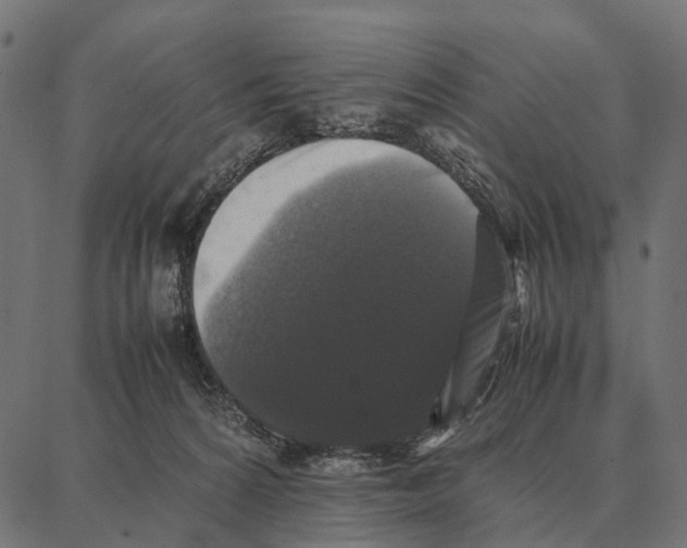 X0000087320224200705181019