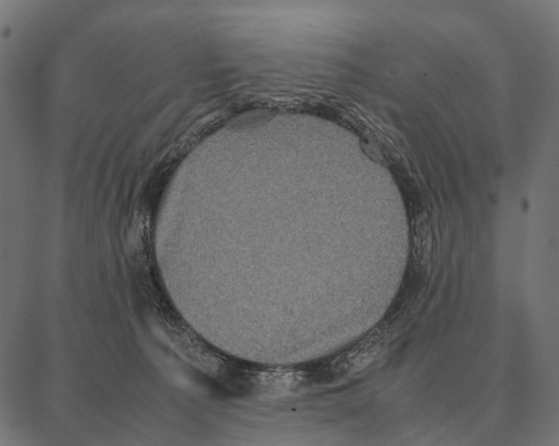 X0000087320225200705181019