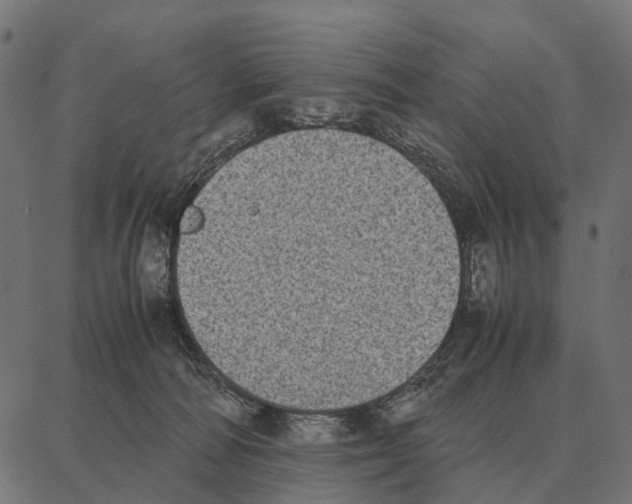 X0000087320226200705181019