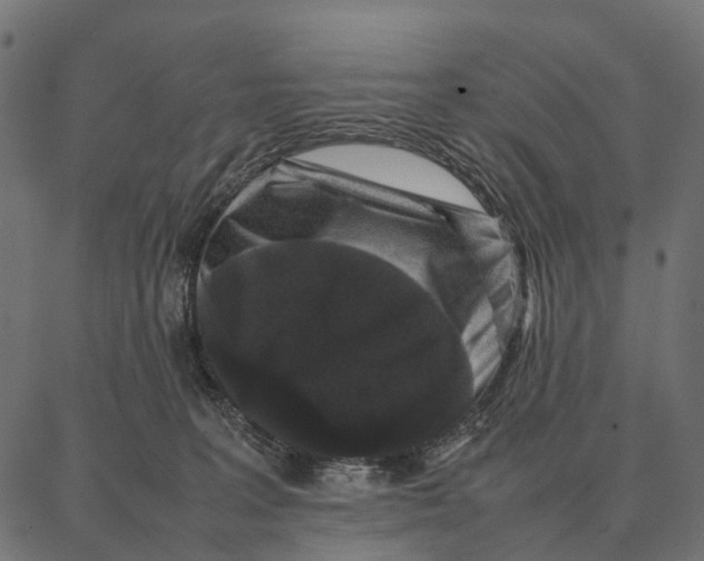 X0000087320227200705181019