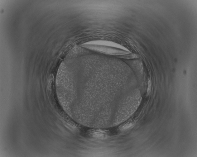 X0000087320229200705181019