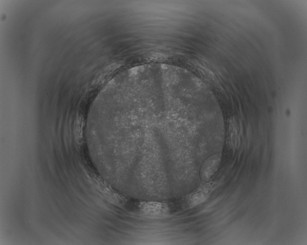 X0000087320230200705181019