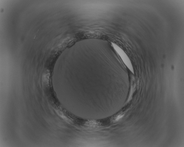 X0000087320231200705181019