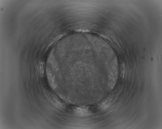 X0000087320232200705181019