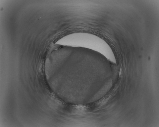 X0000087320233200705181019