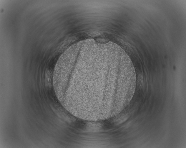 X0000087320234200705181019