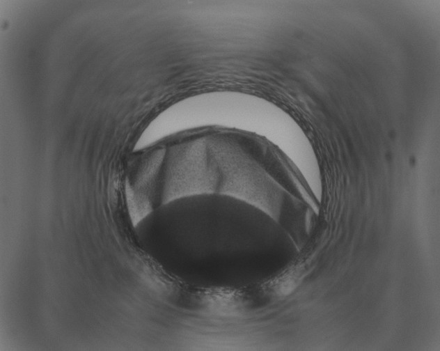 X0000087320235200705181019