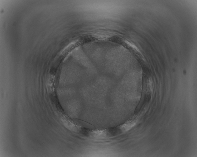 X0000087320237200705181019