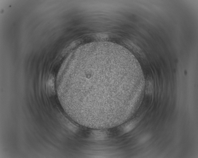 X0000087320238200705181019