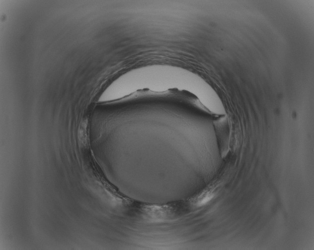 X0000087320239200705181019