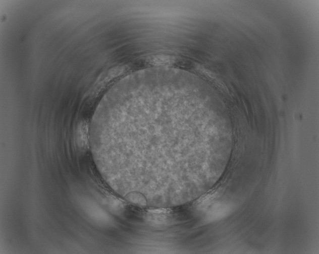 X0000087320240200705181019