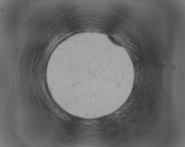 X0000087320241200705181018