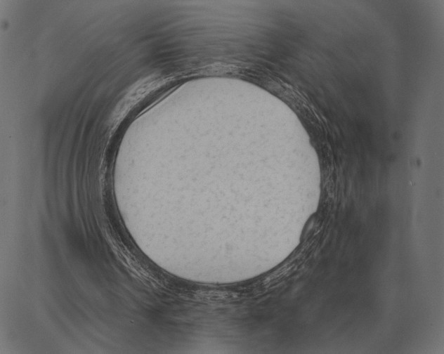 X0000087320242200705181018