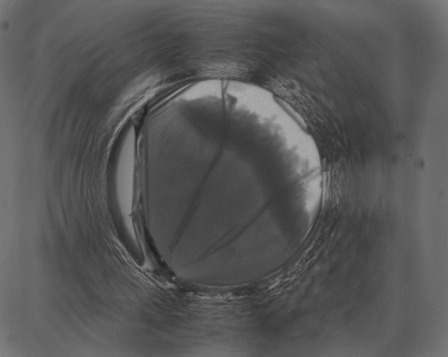 X0000087320243200705181018