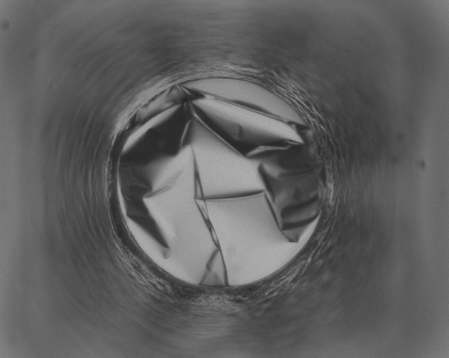 X0000087320244200705181018