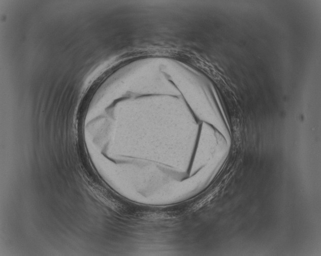 X0000087320246200705181018