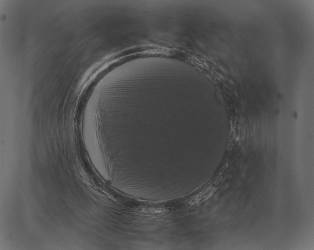 X0000087320247200705181018