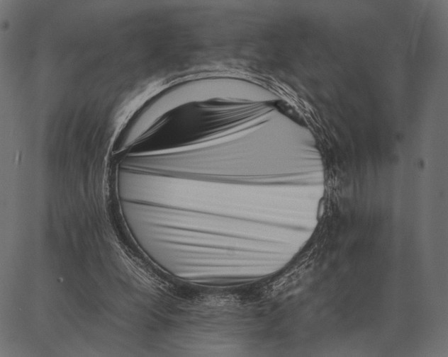 X0000087320248200705181018