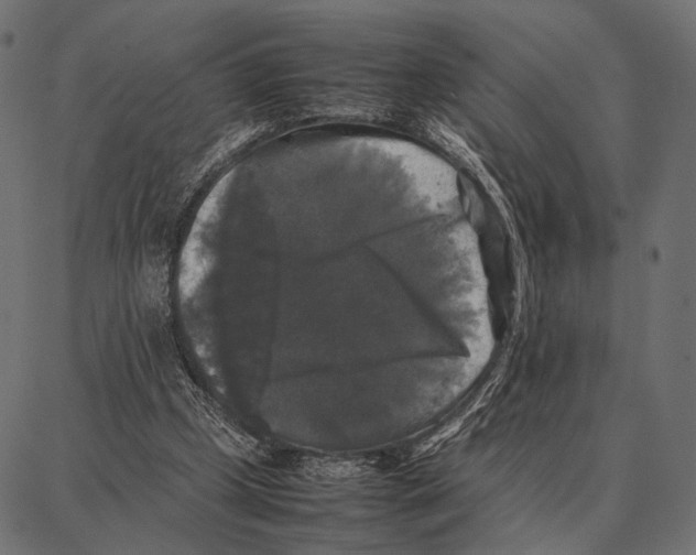 X0000087320249200705181018