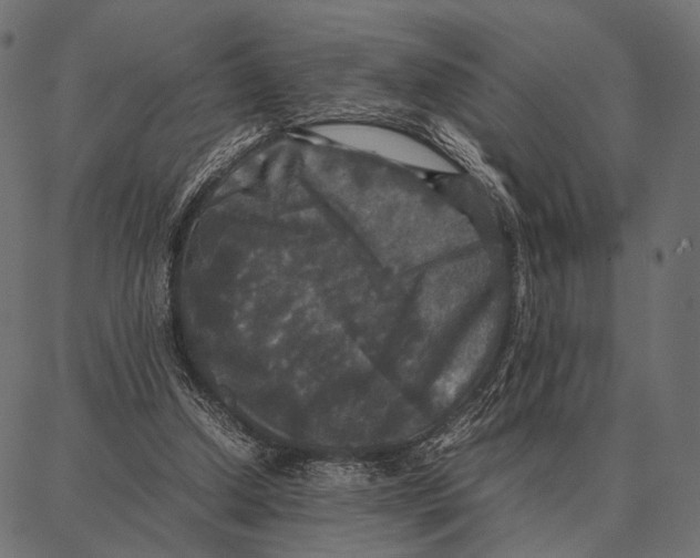 X0000087320250200705181018