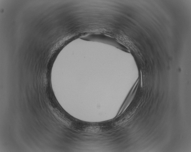 X0000087320252200705181018