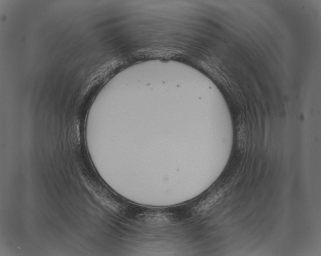 X0000087320254200705181018