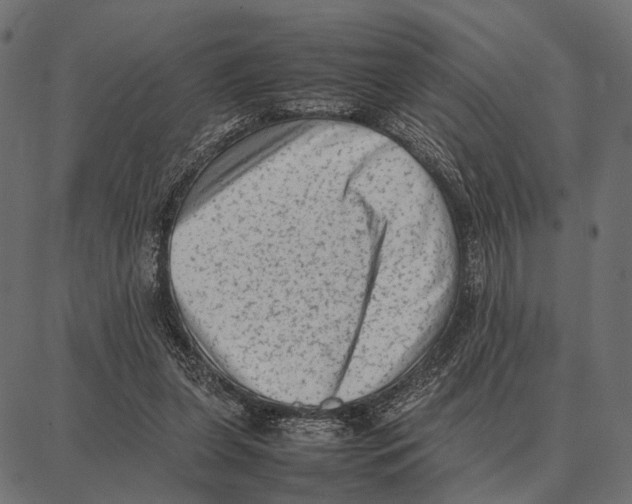 X0000087320255200705181018