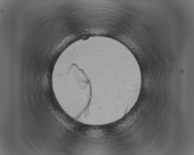 X0000087320256200705181018